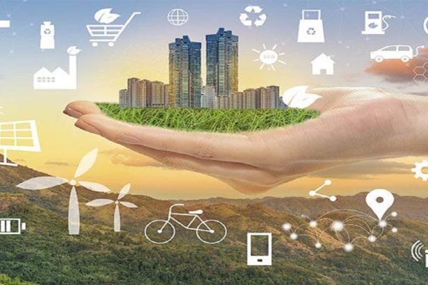 نشانِ وزارت علوم برای دانشگاه‌ها؛ مسئولیت اجتماعی در کانون توجه آموزش عالی