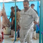 مراقب تب کنگو باشید؛ یک بیماری قابل انتقال از دام