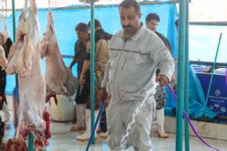 مراقب تب کنگو باشید؛ یک بیماری قابل انتقال از دام